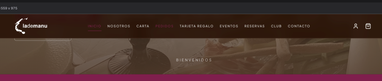 Menú en Inicio con Pedidos también resaltado